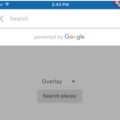 Flutter Google Places Autocomplete Widgets