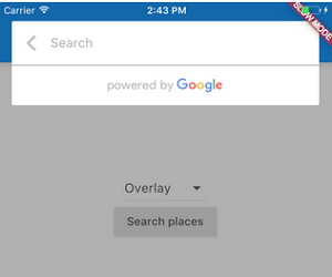 Flutter Google Places Autocomplete Widgets
