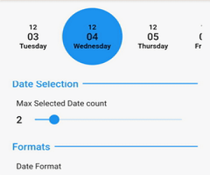 Flutter Horizontal Calendar