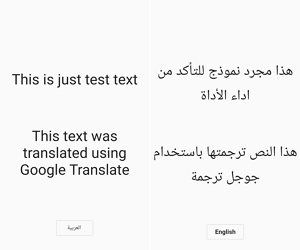 Flutter Localize and Translate