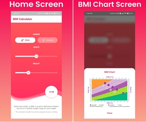 BMI Calculator Flutter