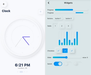 Flutter Neumorphic UI Kit